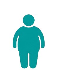 Obesity icon